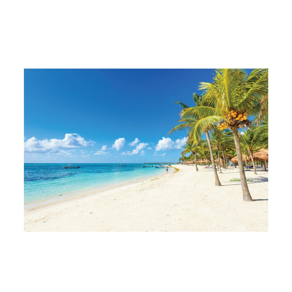 LUSH Coconut Palms on White Sands Modern Acrylic Wall Art