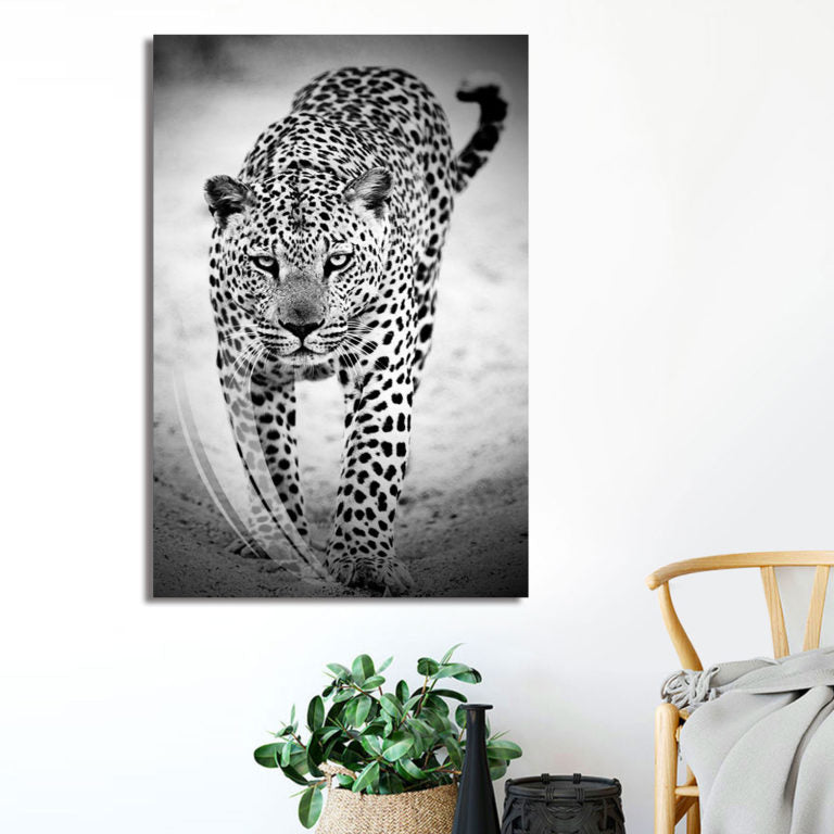 TATE Black & White Leopard Acrylic Wall Art Print