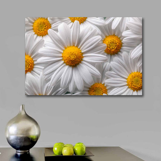 SUNNY White Daisy Modern Acrylic Wall Art