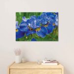 ORCHIDS Blue Flower Modern Acrylic Wall Art