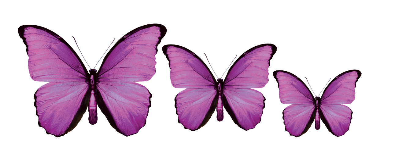 CIRCA 3D MIX Butterfly Acrylic Prints Set of 3