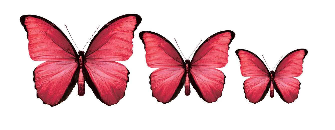 CIRCA 3D MIX Butterfly Acrylic Prints Set of 3