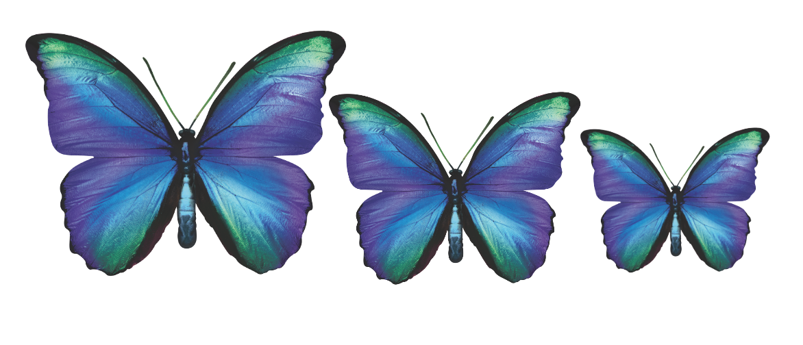 CIRCA 3D MIX Butterfly Acrylic Prints Set of 3