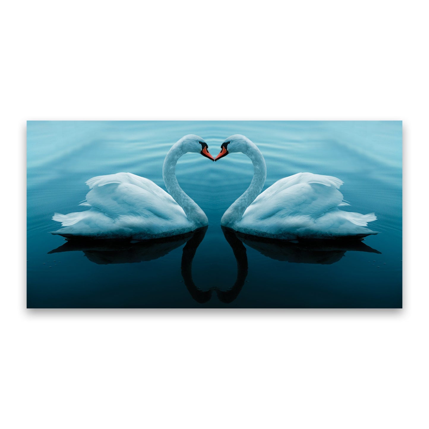 SWAN Whispers of Love Modern Acrylic Wall Art