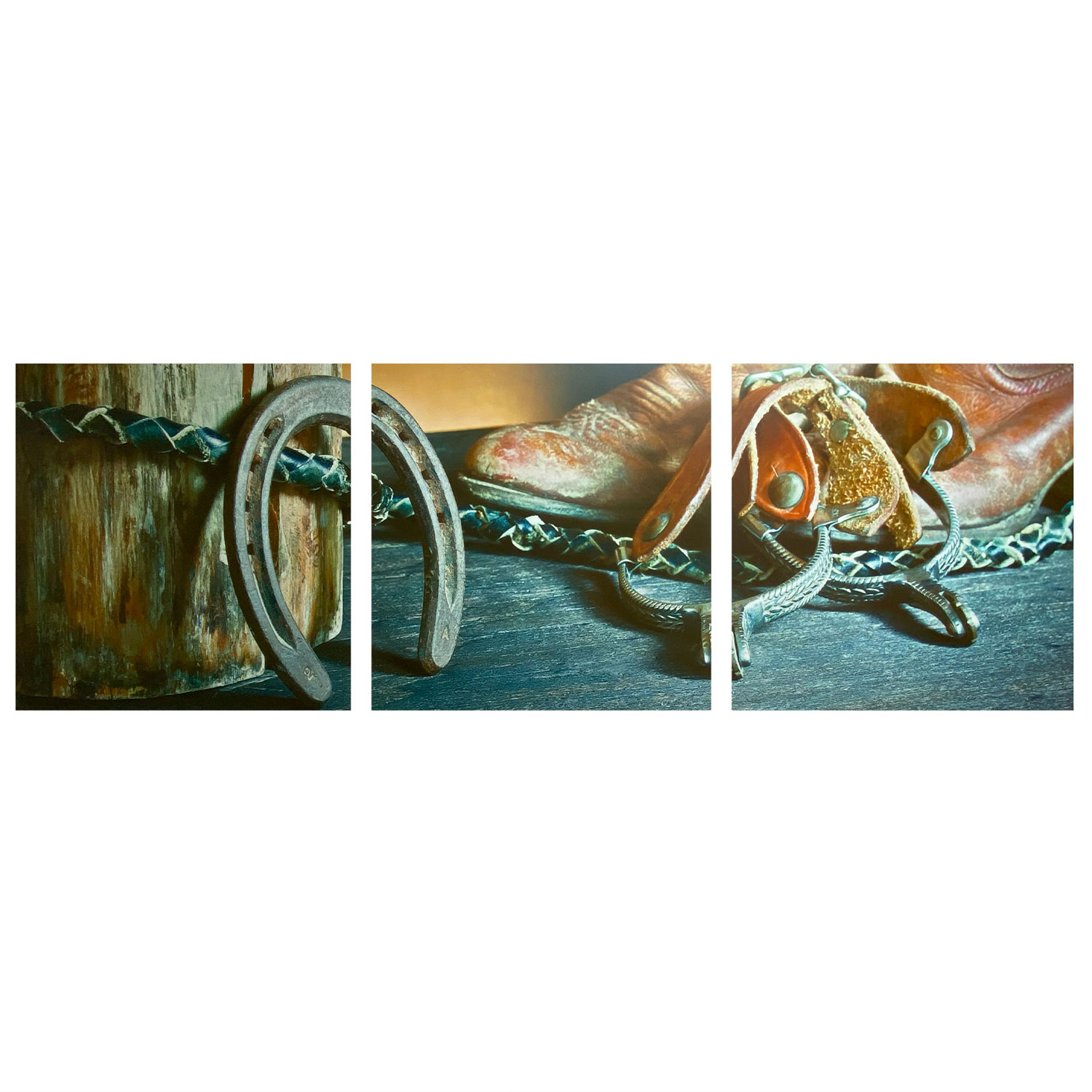 Horseshoe Abstract Canvas F-DE-3020 ABC – USA Acrylic – Florida