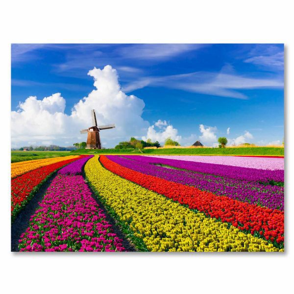Tulips in Holland – Tempered Glass Art – USA Acrylic