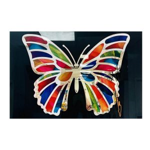 COLORFUL BUTTERFLY
